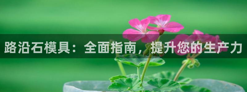 太阳集团2018登录网址：路沿石模具：全面指南，提升您的生产力