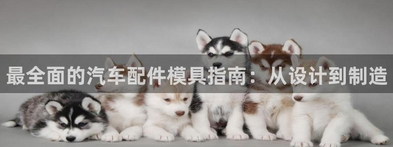 2003网站太阳集团：最全面的汽车配件模具指南：从设计到制造
