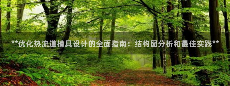太阳集团官网导航下载：**优化热流道模具设计的全面指南：结构图分析和最佳实践**