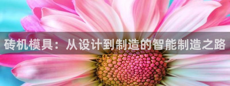 太阳集团股份有限公司是国企吗