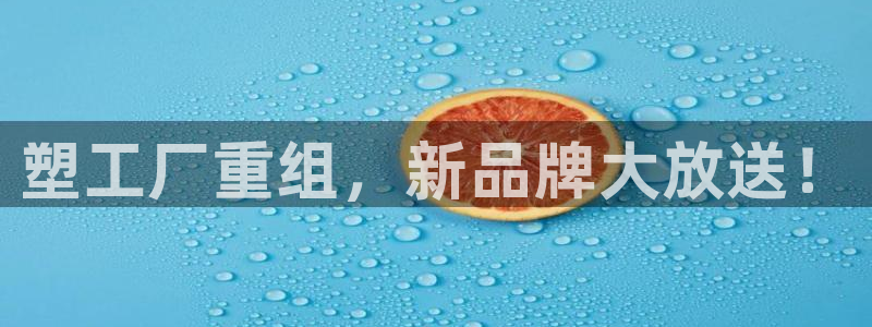 太阳集团城网站2017：塑工厂重组，新品牌大放送！