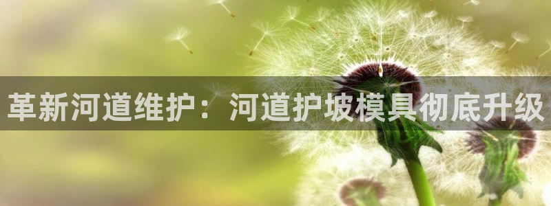太阳集团娱乐官方网站下载：革新河道维护：河道护坡模具彻底升级