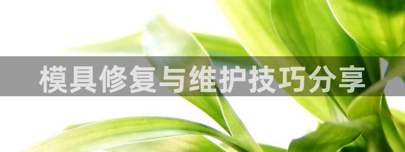 063801太阳集团备用网址：模具修复与维护技巧分享