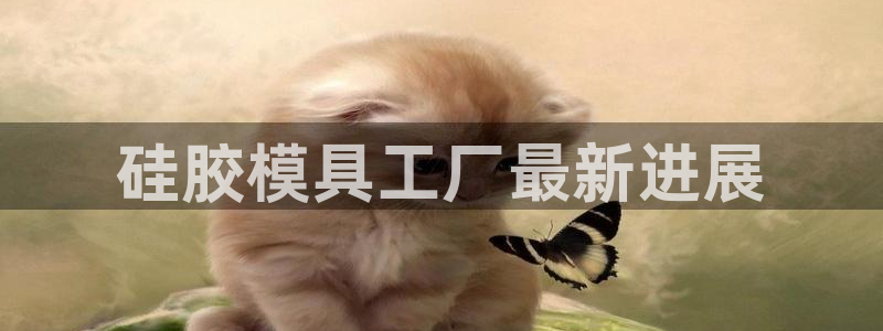 曲靖红太阳集团：硅胶模具工厂最新进展