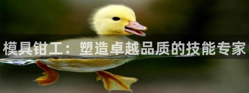 太阳成集团游戏：模具钳工：塑造卓越品质的技能专家