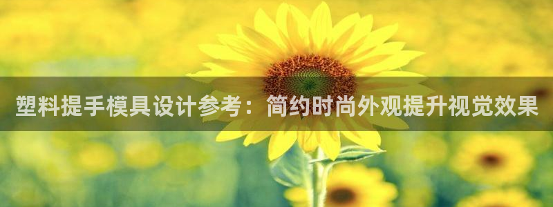太阳诚集团有限公司：塑料提手模具设计参考：简约时尚外观提升视觉效果