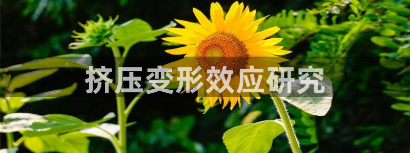太阳集团2018网址：挤压变形效应研究