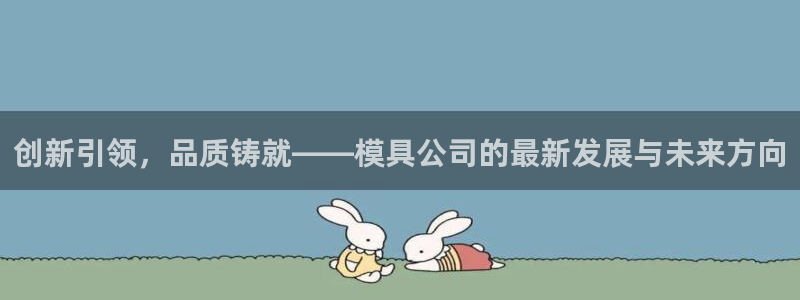 冷太阳什么意思：创新引领，品质铸就——模具公司的最新发展与未来方向
