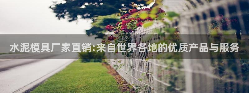 2007so太阳集团下载：水泥模具厂家直销:来自世界各地的优质产品与服务