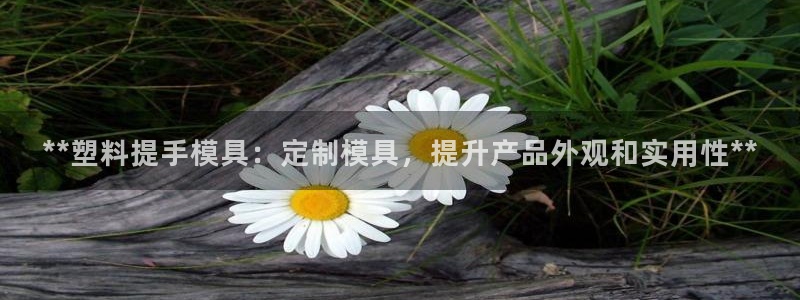 太阳集团城网官方入口：**塑料提手模具：定制模具，提升产品外观和实用性**