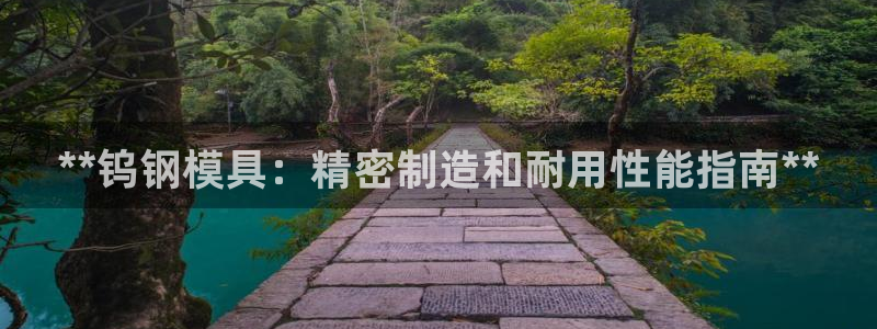 太阳集团电子游戏官方版：**钨钢模具：精密制造和耐用性能指南**