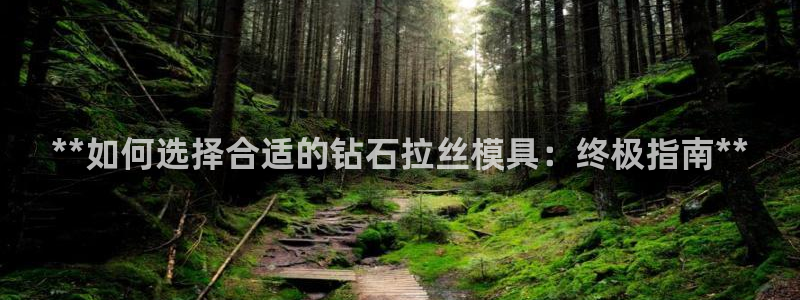 古天乐代言太阳网址ty：**如何选择合适的钻石拉丝模具：终极指南**