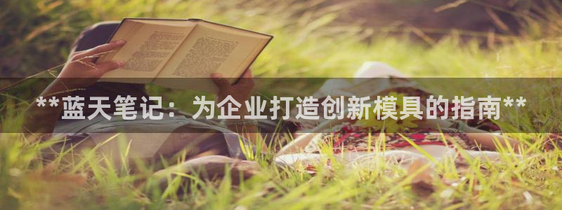 太阳gg平台注册：**蓝天笔记：为企业打造创新模具的指南**