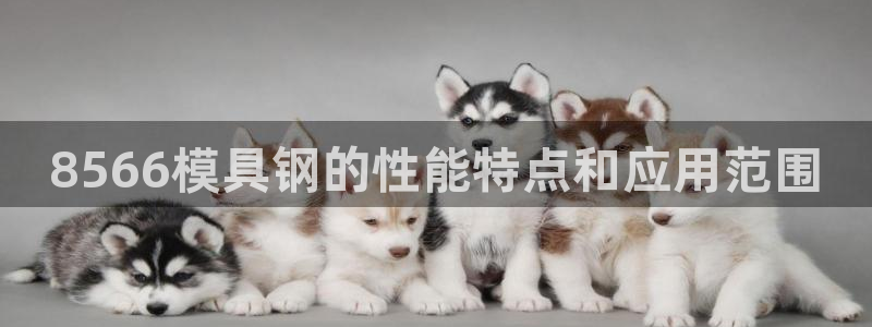 太阳成集团tyc234cc投资控股集团：8566模具钢的性能特点和应用范围