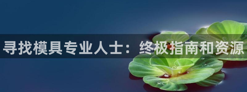 太阳集团在哪里：寻找模具专业人士：终极指南和资源