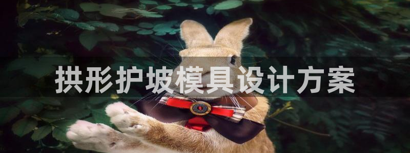 太阳诚集团网址：拱形护坡模具设计方案