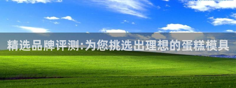 古天乐和太阳集团谁厉害：精选品牌评测:为您挑选出理想的蛋糕模具