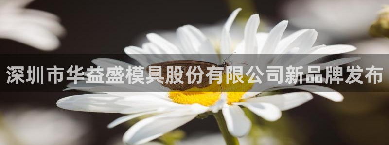 太阳2平台网站：深圳市华益盛模具股份有限公司新品牌发布