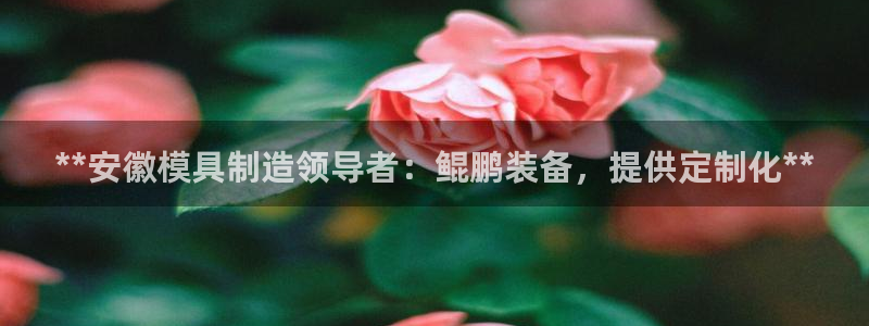 太阳集团app十佳平台有哪些：**安徽模具制造领导者：鲲鹏装备，提供定制化**