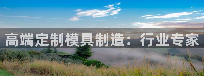 太阳集团城2017：高端定制模具制造：行业专家