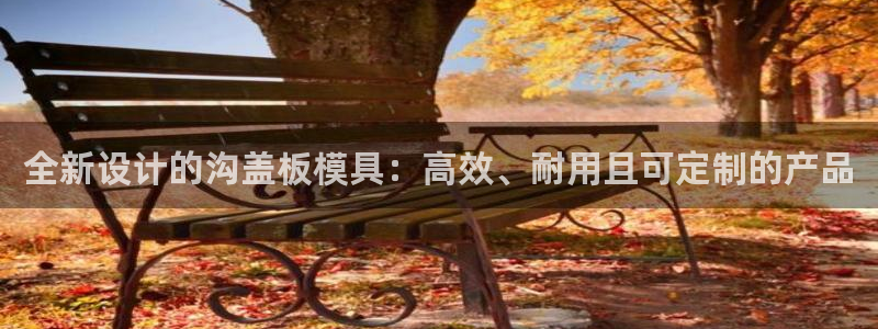 太阳2平台网站：全新设计的沟盖板模具：高效、耐用且可定制的产品