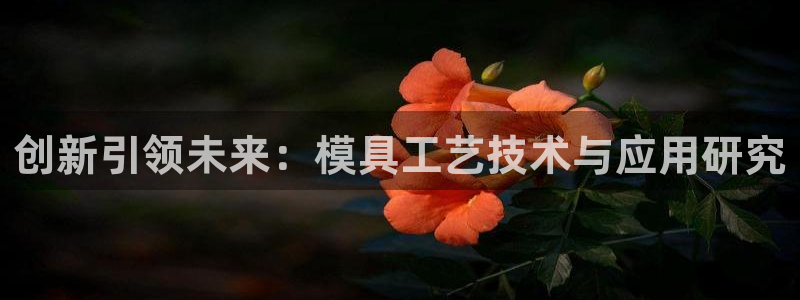 15vip太阳集团登录：创新引领未来：模具工艺技术与应用研究