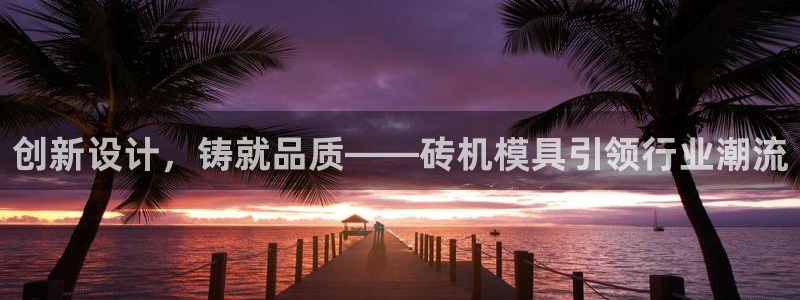太阳gg官网登录：创新设计，铸就品质——砖机模具引领行业潮流