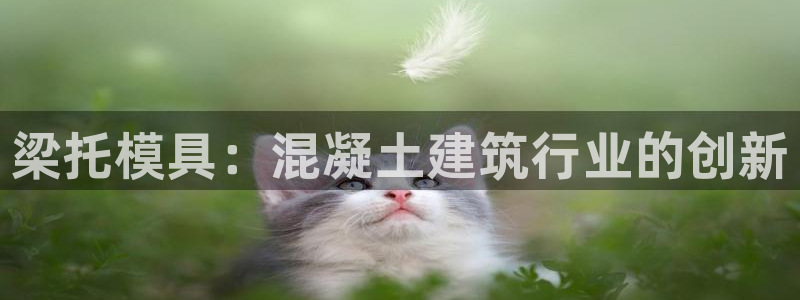 太阳阳城集团有限公司：梁托模具：混凝土建筑行业的创新