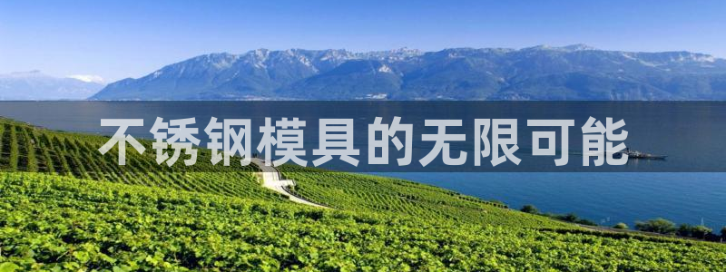 太阳集团城登录网址：不锈钢模具的无限可能