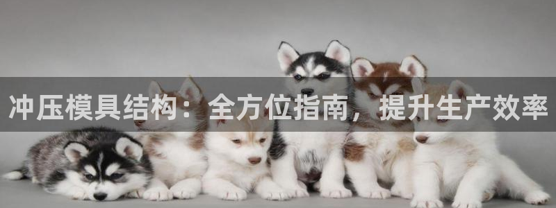 太阳集团网站古天乐代言的：冲压模具结构：全方位指南，提升生产效率