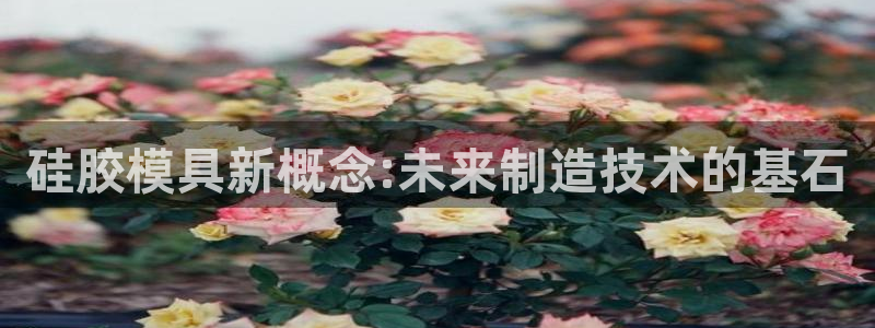 太阳集团洗米华菲律宾：硅胶模具新概念:未来制造技术的基石