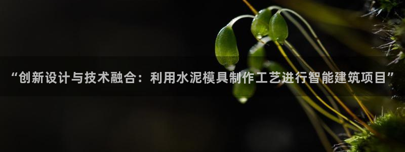 太阳appvip：“创新设计与技术融合：利用水泥模具制作工艺进行智能建筑项目”