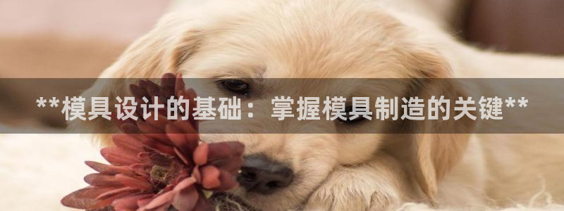 太阳成集团娱乐网站：**模具设计的基础：掌握模具制造的关键**