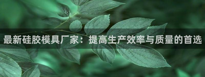 太阳gg娱选_2o5o26：最新硅胶模具厂家：提高生产效率与质量的首选