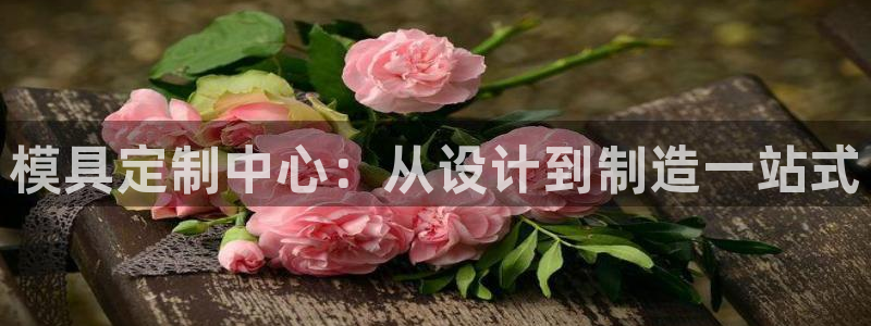 太阳集团城安卓版游戏：模具定制中心：从设计到制造一站式