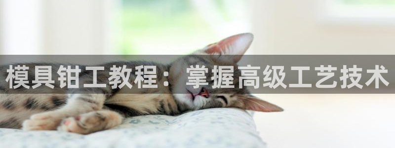 太阳集团游戏App：模具钳工教程：掌握高级工艺技术