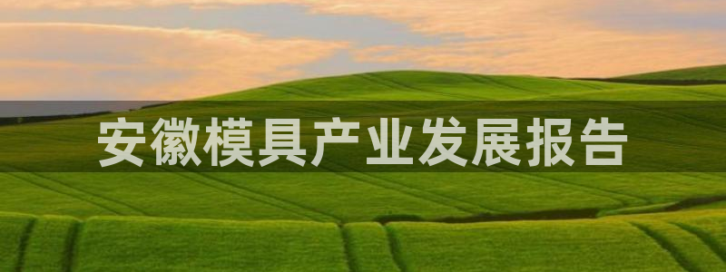 太阳成娱乐集团：安徽模具产业发展报告
