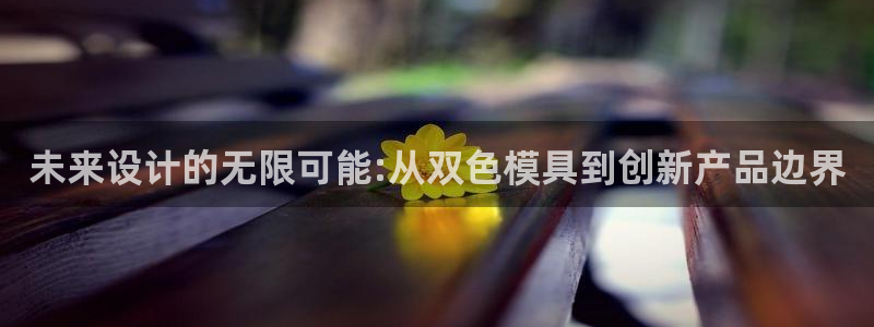 太阳股份有限公司：未来设计的无限可能:从双色模具到创新产品边界