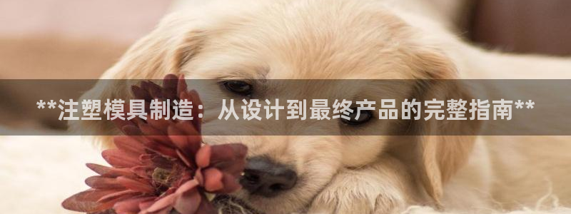 太阳gg注册/登录：**注塑模具制造：从设计到最终产品的完整指南**