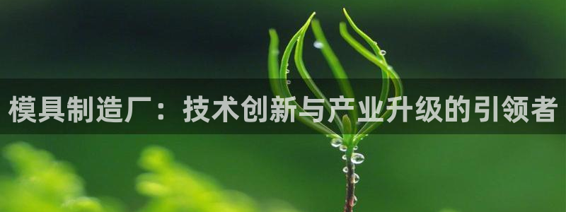 太阳集团游戏城旧版5376：模具制造厂：技术创新与产业升级的引领者