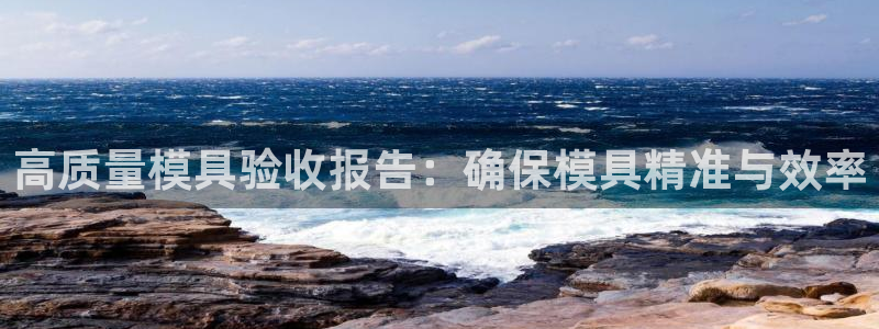 太阳成集团tyc234cc[主页]振：高质量模具验收报告：确保模具精准与效率