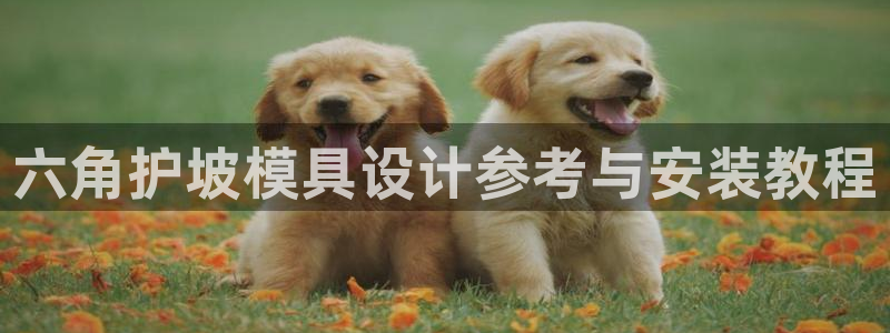 太阳集团网址首页：六角护坡模具设计参考与安装教程