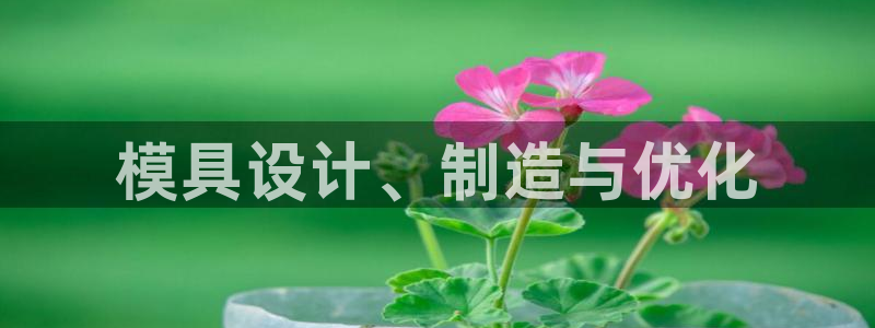 太阳gg在线测速登录：模具设计、制造与优化
