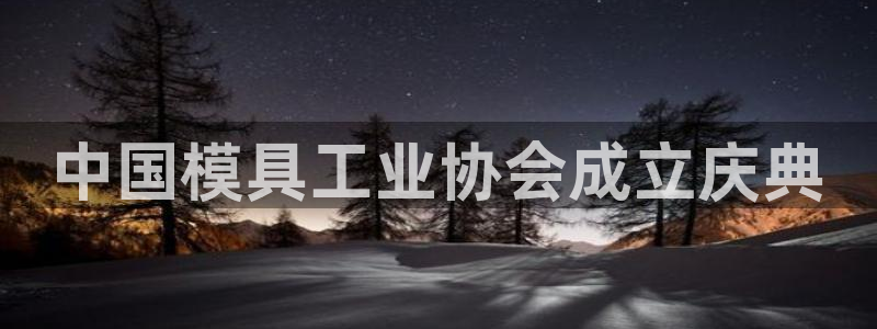 太阳集团电子游戏(中国)有限公司官网：中国模具工业协会成立庆典