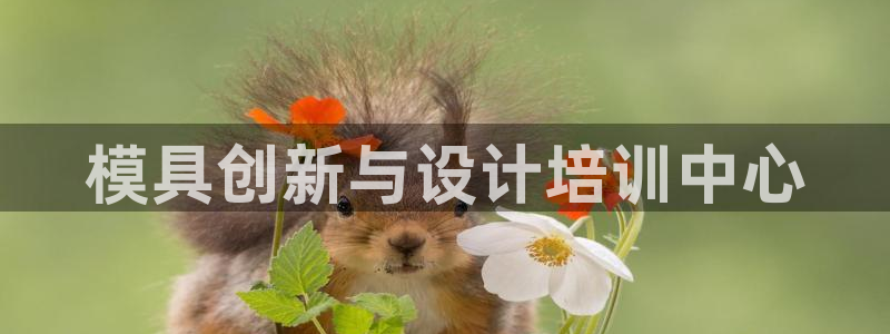 太阳集团娱：模具创新与设计培训中心