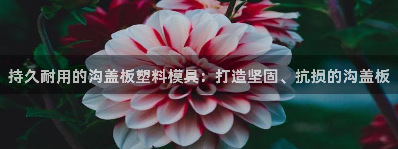 太阳集团2021备用网址：持久耐用的沟盖板塑料模具：打造坚固、抗损的沟盖板