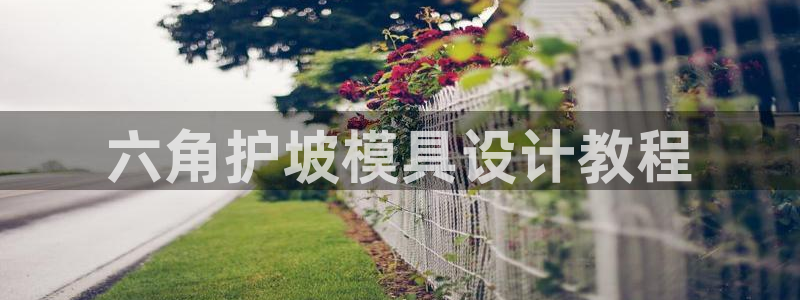 太阳集团股东：六角护坡模具设计教程