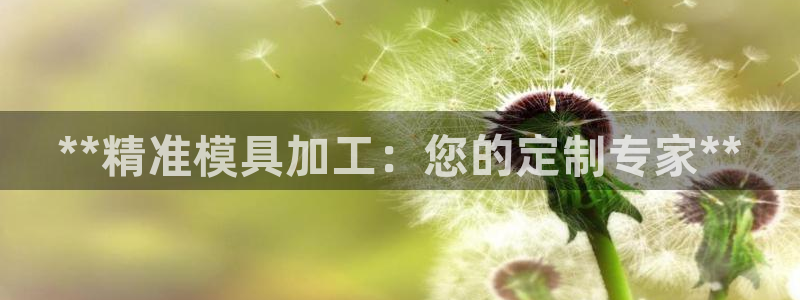 太阳集团2021备用网址：**精准模具加工：您的定制专家**
