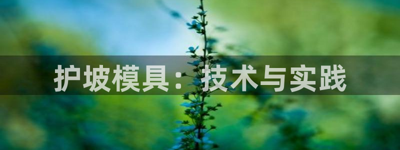 古天乐 太阳灯：护坡模具：技术与实践