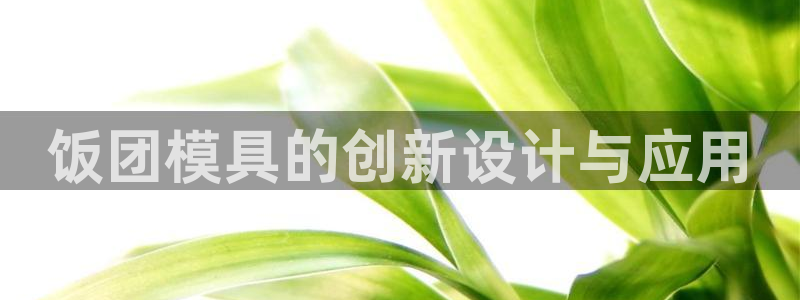 太阳集团房地产：饭团模具的创新设计与应用